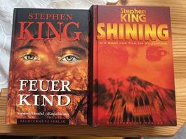 Stephen King: Shining & Feuerkind