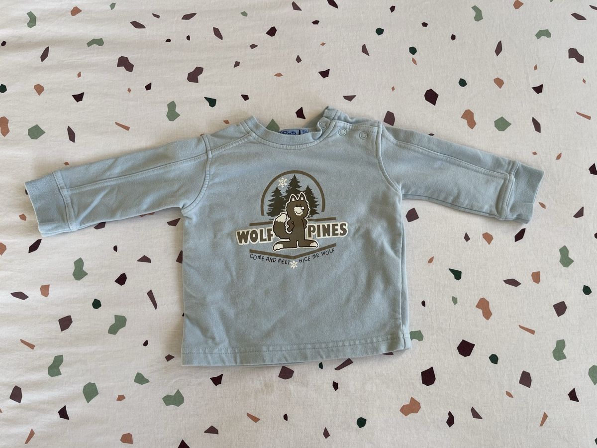Maglioni & Felpe: Baby Pullover, Gr. 68, hellblau mit Wolf – Usato da Hirzel venduto da carta9