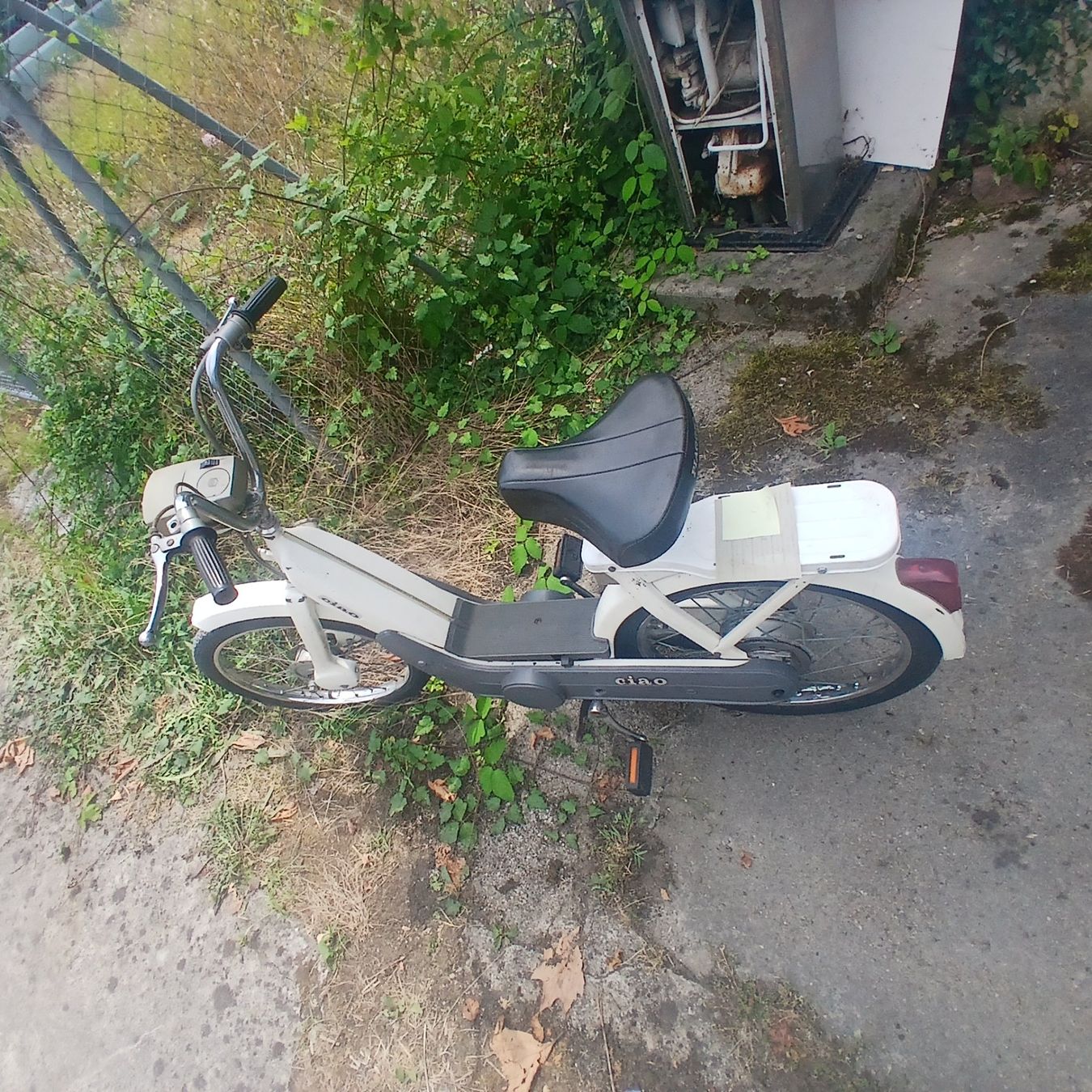 Piaggio Mofas: Mofa Piaggio Ciao PX mit Ausweis – Gebraucht aus Balsthal von redcarpet 1