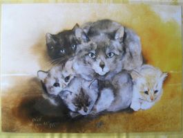 Tischset laminiert mit Katzen, Dédé Moser