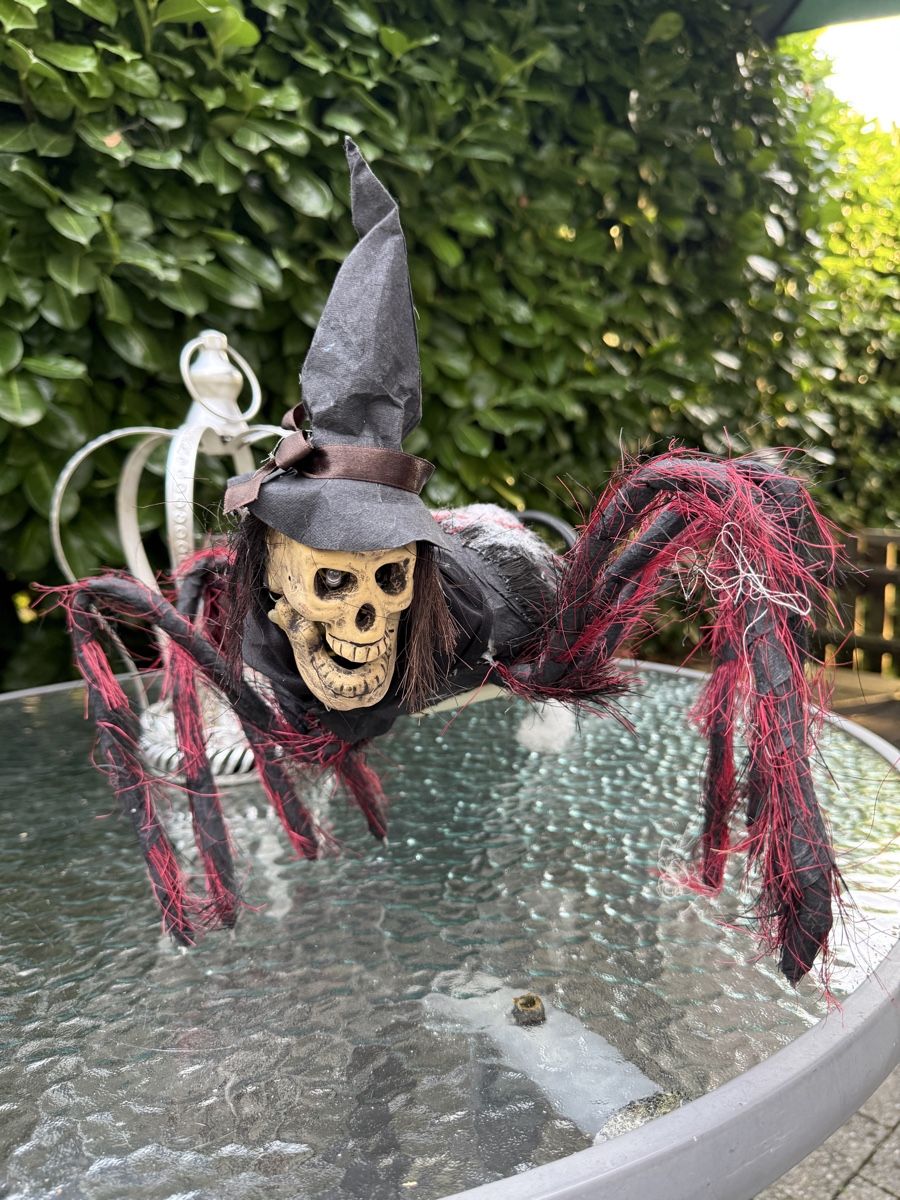 Alle Dekorationen: Halloween Decorations  – Gebraucht aus Worblaufen von Jarnold 7