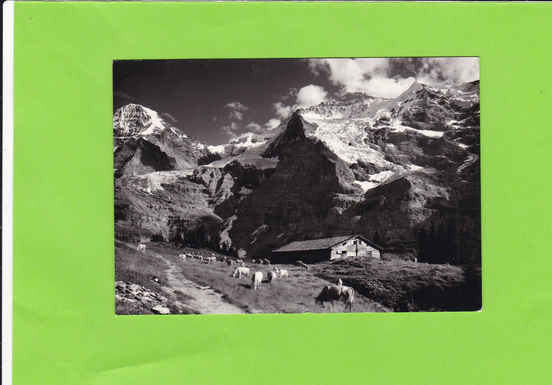 Cartoline postali: Mettlenalp mit Jungfrau und Mönch – Usato da St. Peterzell venduto da neckertal