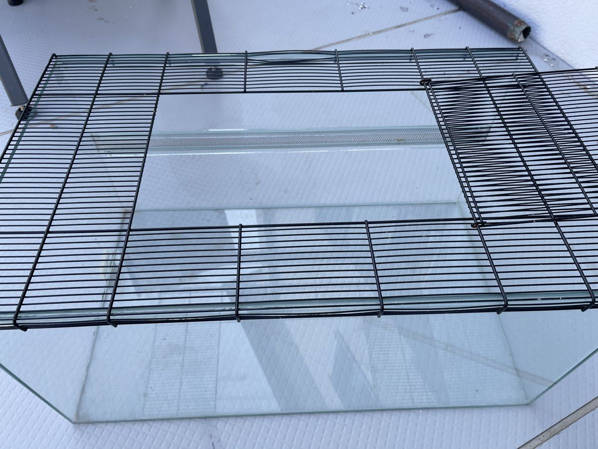 Terrario: Terrarium  – Usato da Brugg AG venduto da Sonnenjunky 1