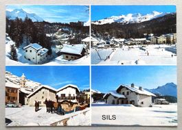 Sils