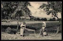 AK Aarau, 1. Aargauische kantonale Landwirtschaftliche Ausst