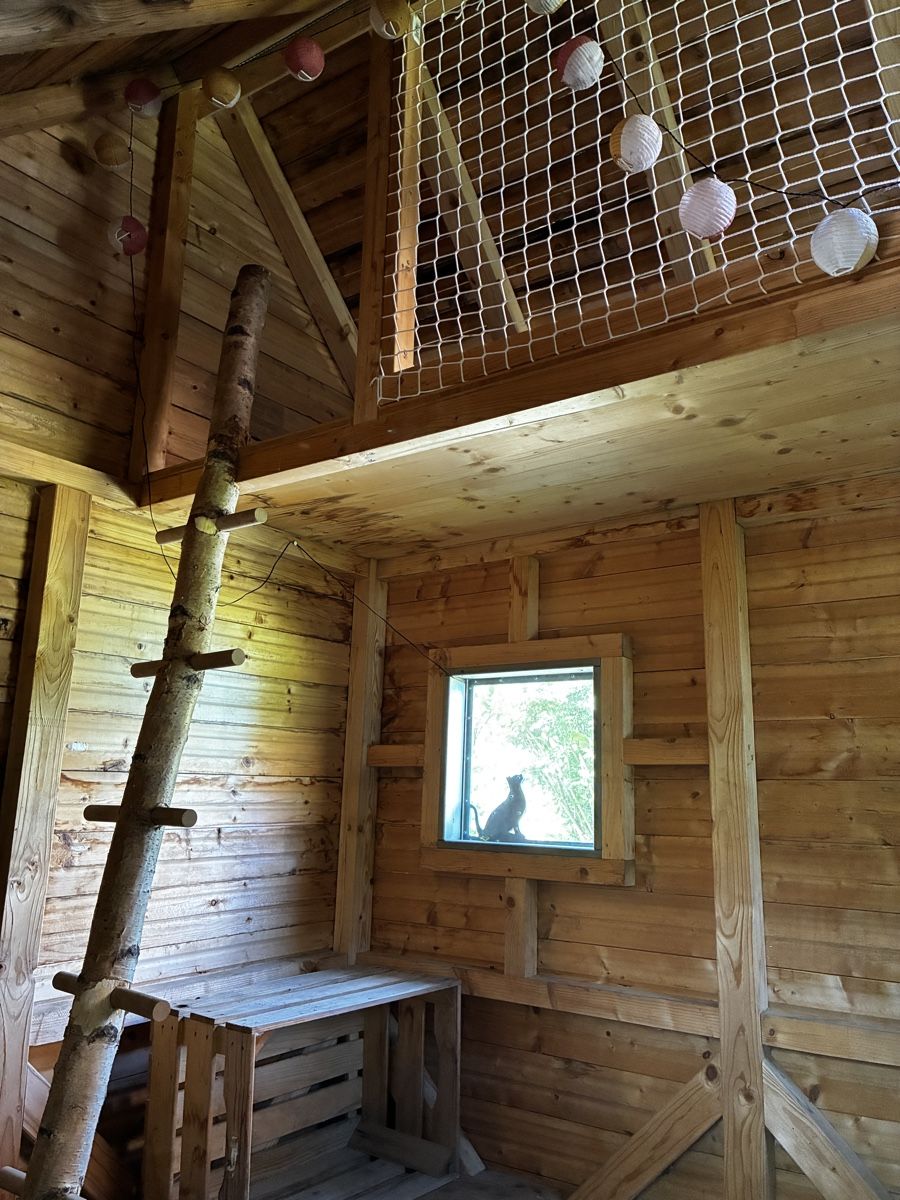 Casette per bambini: Spielhaus zu Verkaufen – Usato da Dörflingen venduto da Dommervogel 7