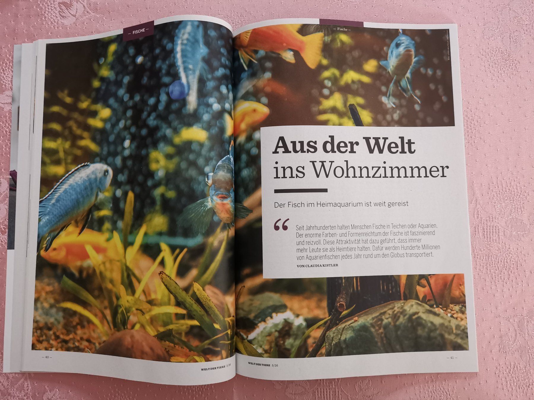 Revues & Magazines: Welt der Tiere – Neuf (Voir description) à Dornach par Hei50 2