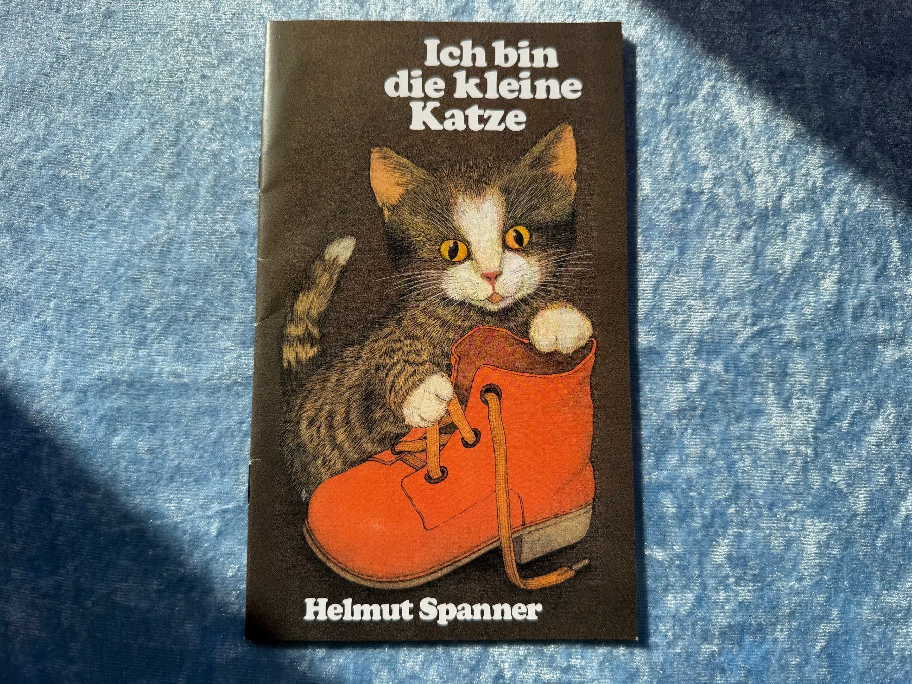 Libri: Ich bin die kleine Katze - Kinderbuch von Helmut Spanner – Nuovo e nell'imballaggio originale da Brunnenthal venduto da Eco07
