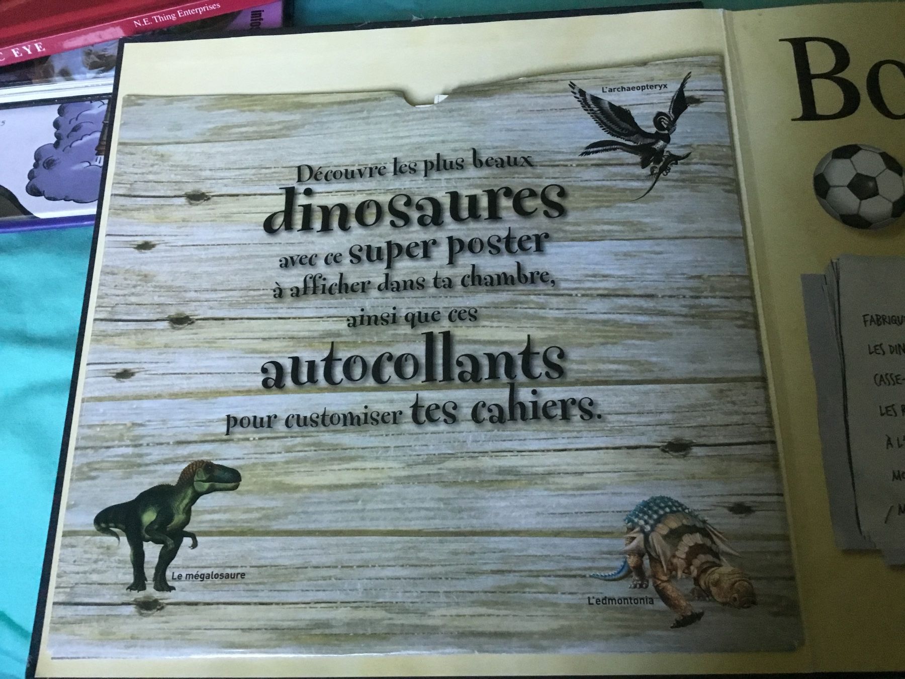 Libri: BOYS BOOK, 100% garçons, éditions LAROUSSE – Nuovo (secondo la descrizione) da Genève venduto da Mazelyne 5