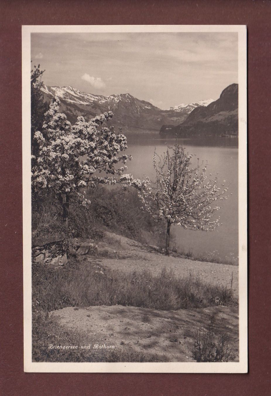 Cartoline postali: BRIENZERSEE - Rothorn - Frühling – Usato da Pully venduto da nicecards-shop