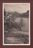 BRIENZERSEE - Rothorn - Frühling