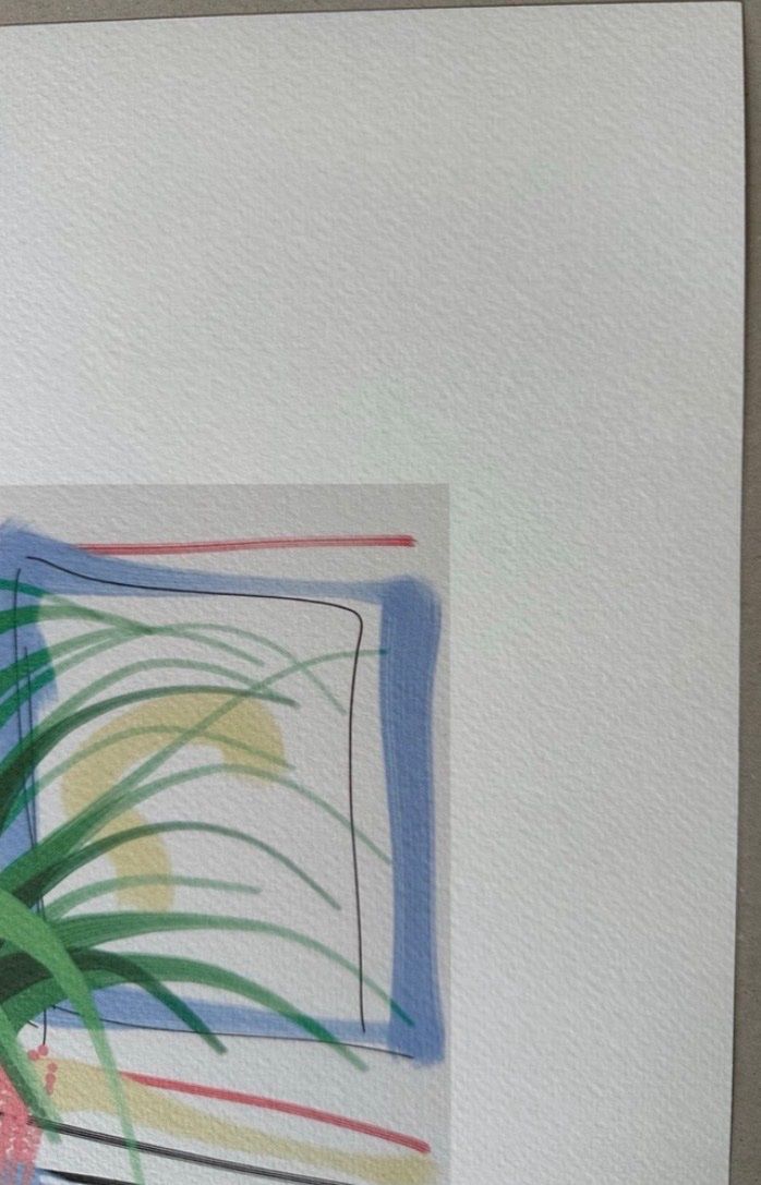 Foto & Immagini: David Hockney: Untiled XXX/200 – Nuovo (secondo la descrizione) da Meilen venduto da Smgdesign 4