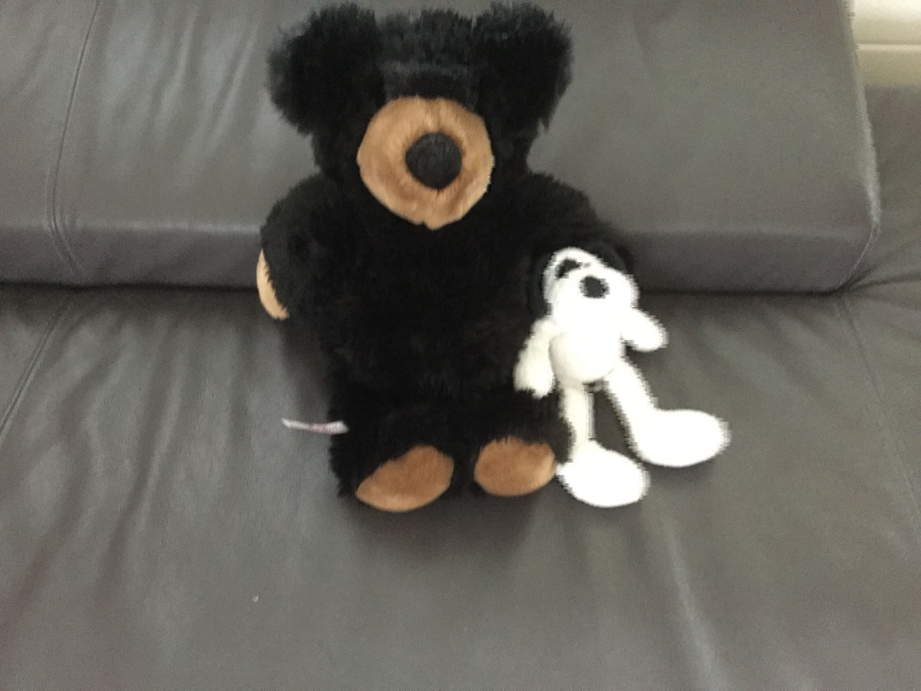 Giocattoli: Plüschbär & kleinerHund – Usato da Horw venduto da Benny017