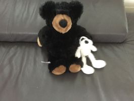 Plüschbär & kleinerHund