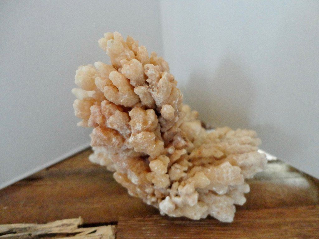 Edelsteine: Calcit- Stufe Korallenform – Neu (gemäss Beschreibung) aus Biberist von Steine 4