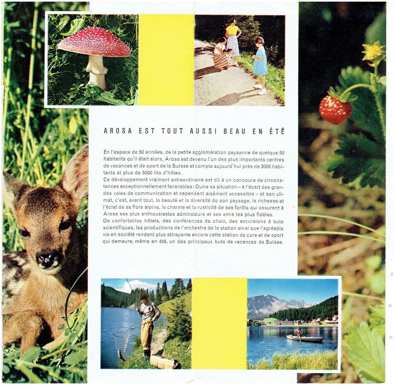 Livres: Arosa, französisch – Défectueux à Flims - Dorf par Stagediver 6