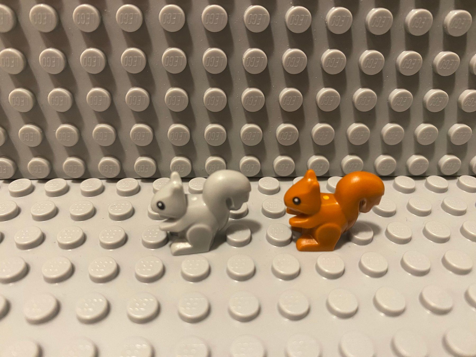 Lego Kit di costruzioni: Lego Tiere - 2 Eichhörnchen – Nuovo (secondo la descrizione) da Horw venduto da G39517sG