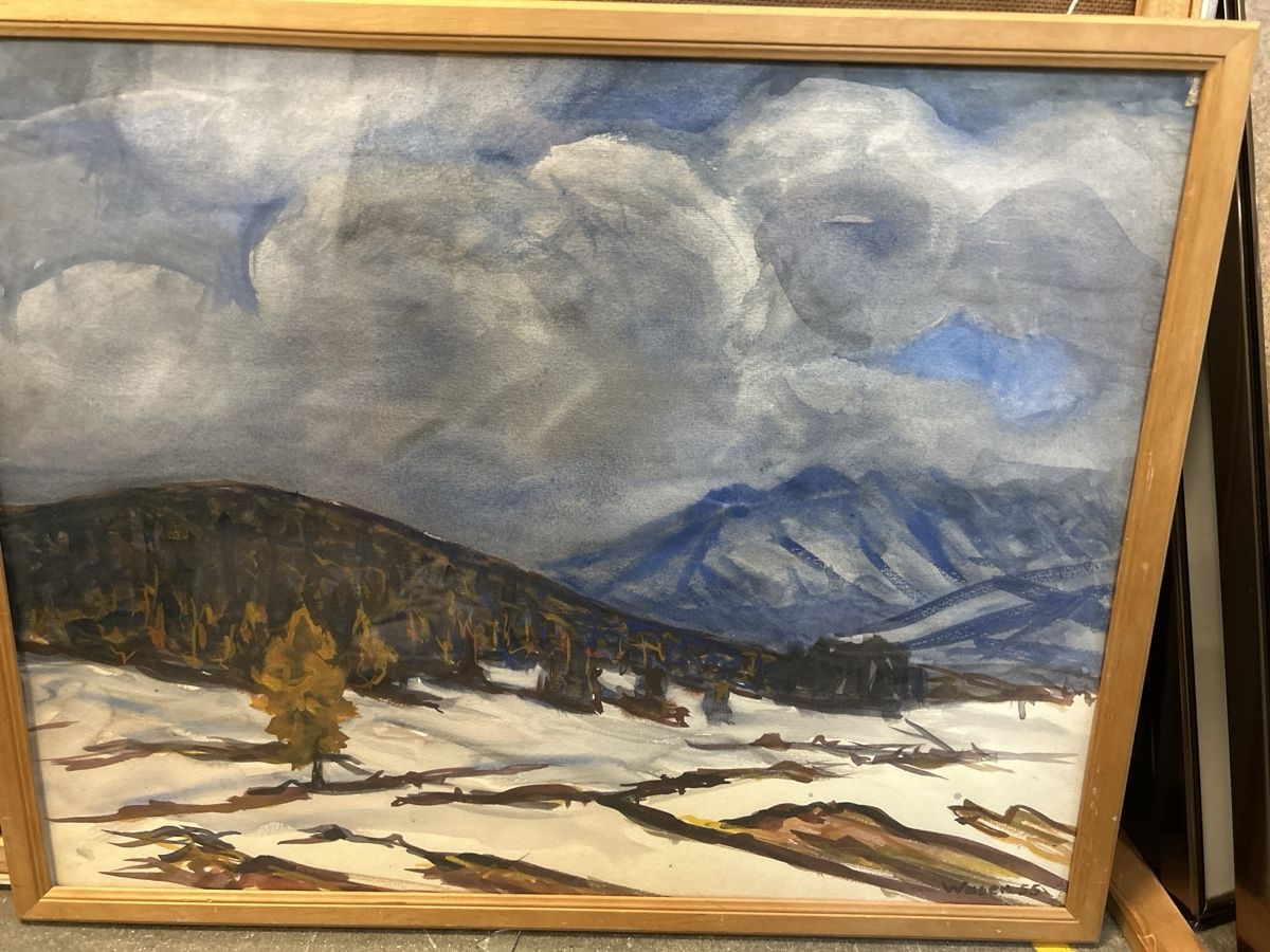 Dipinti: Heini Waser Aquarell – Usato da Zürich venduto da BashasBrockenhaus