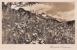 Herzliche Ostergrüsse, Blumenfeld, gelaufen 1928