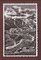KLAUSENPASS - Kühe