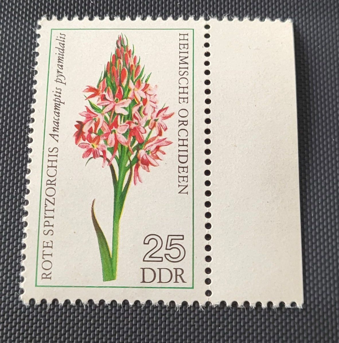 Tous les timbres: DDR 1976 briefmarke – Neuf (Voir description) à St Gallen par Stampsalshobby