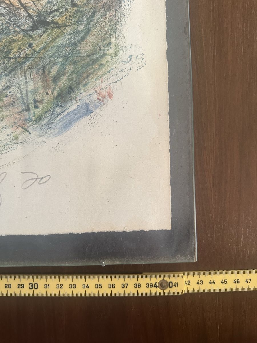 Grafica & Litografie: Lithographie Forelle von Fritz Hug 1970 – Usato da Zürich venduto da Theprophet 3