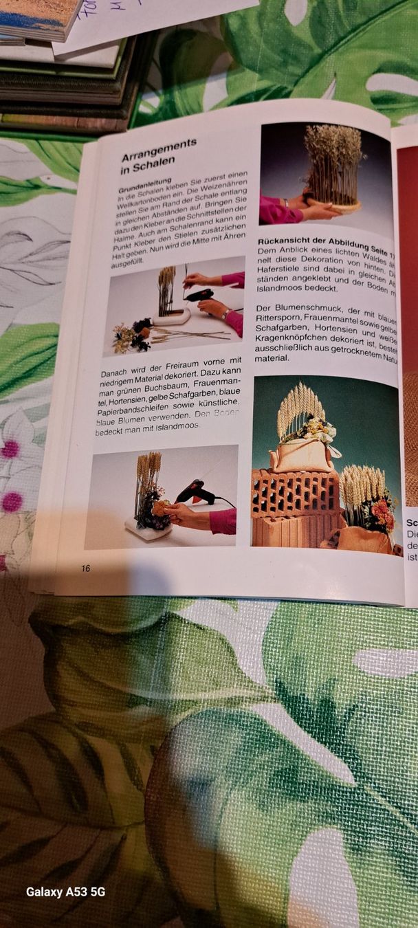Libri: Getreide-Gräser-Blumen, Floristik, Geiger – Usato da Plagne venduto da Reticulum01 4