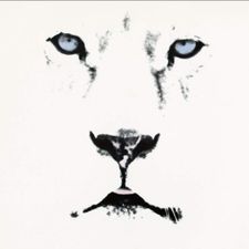 Profile image of WhiteLion01