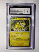 Blitza Pokemon