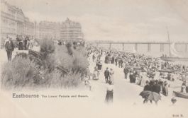 old UK Postcard EASTBOURNE - LOWER PARADE peacock series‪ AK