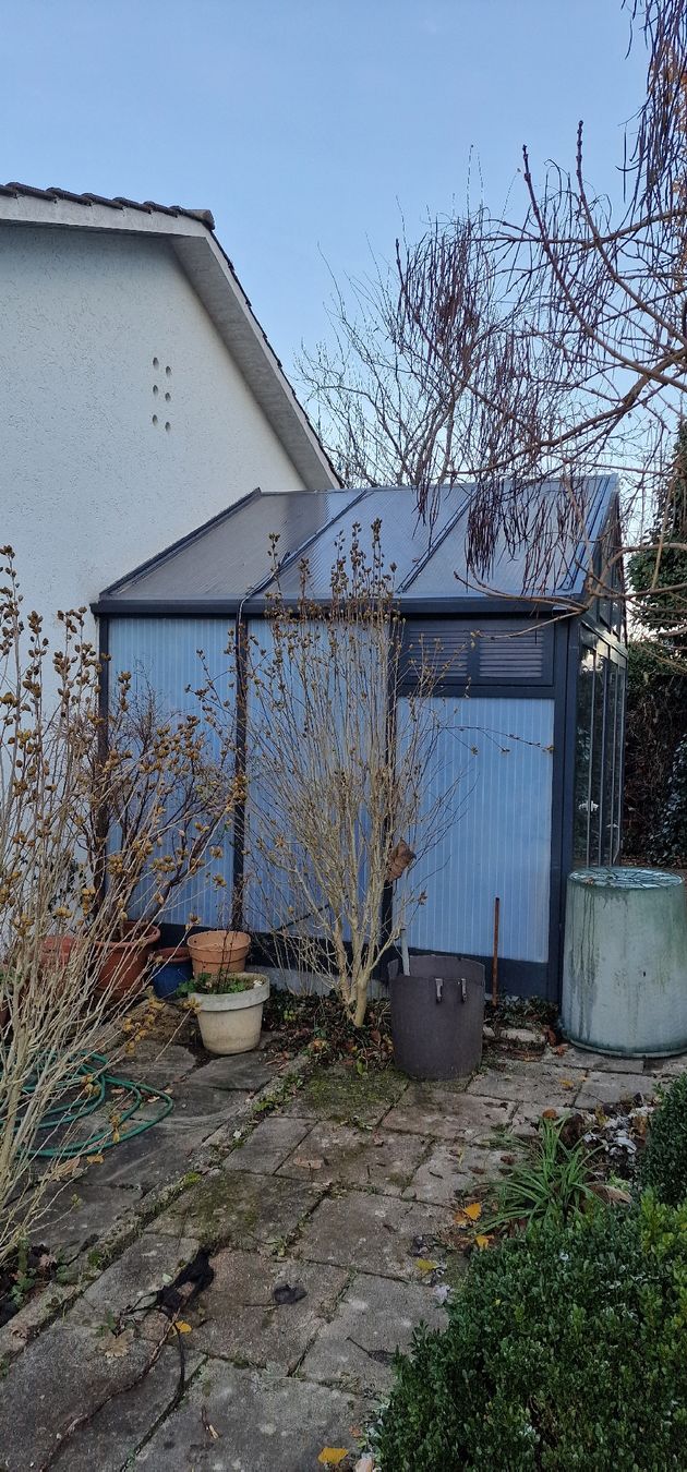Cabanes de jardin & serres: Wintergarten, Gewächshaus – D'occasion à Bättwil par FOCUS122 2