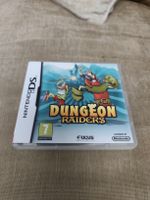 Dungeon Raiders Jeu Nintendo DS boite FR
