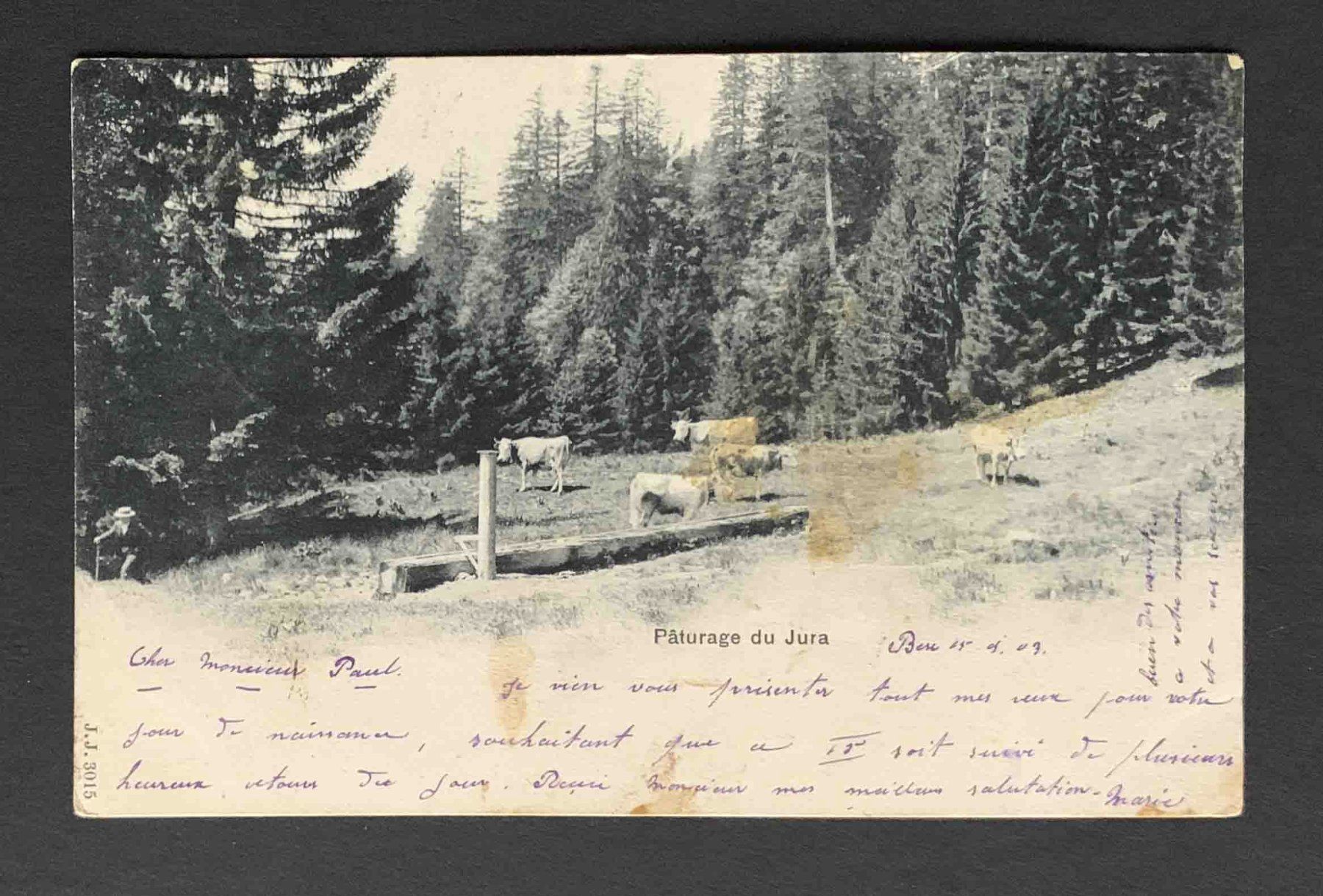 Cartoline postali: AK paturage du Jura – Usato da Goldau venduto da artelier1