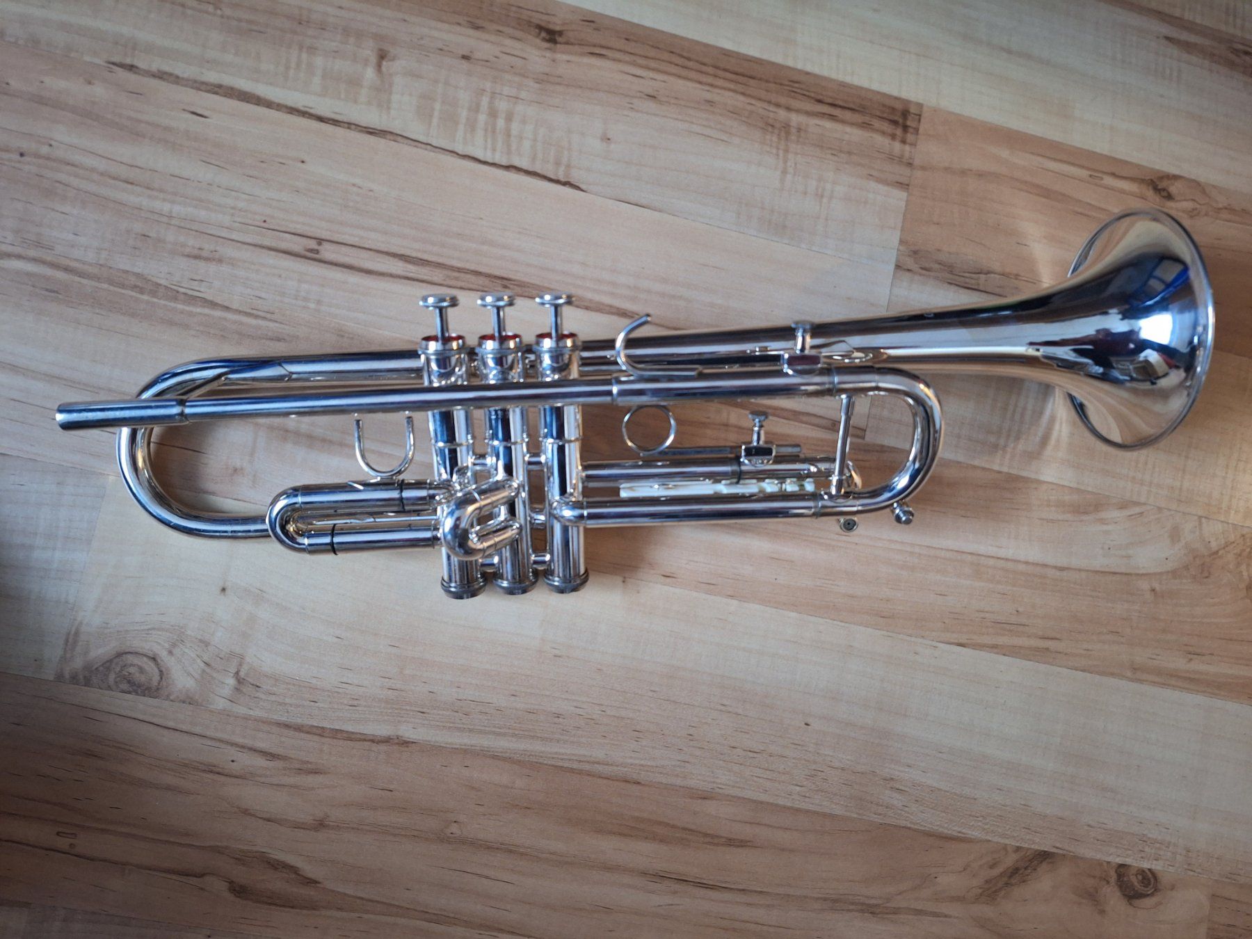 Musikinstrumente: trompete Capri by Getzen – Gebraucht aus Roggwil BE von Elisu 6