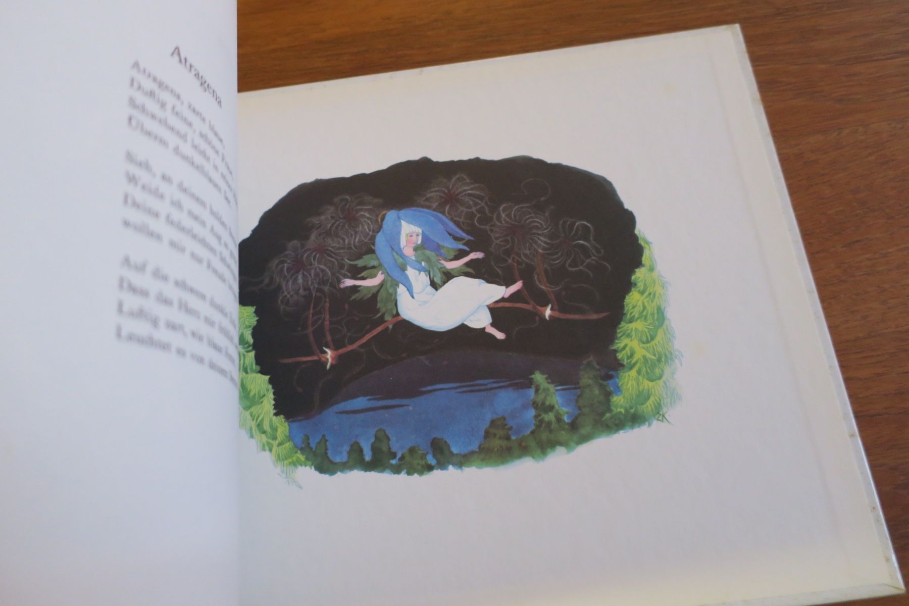 Libri: Ernst Kreidolf / ALPENBLUMENMÄRCHEN – Usato da Langenthal venduto da Riccardamax 4