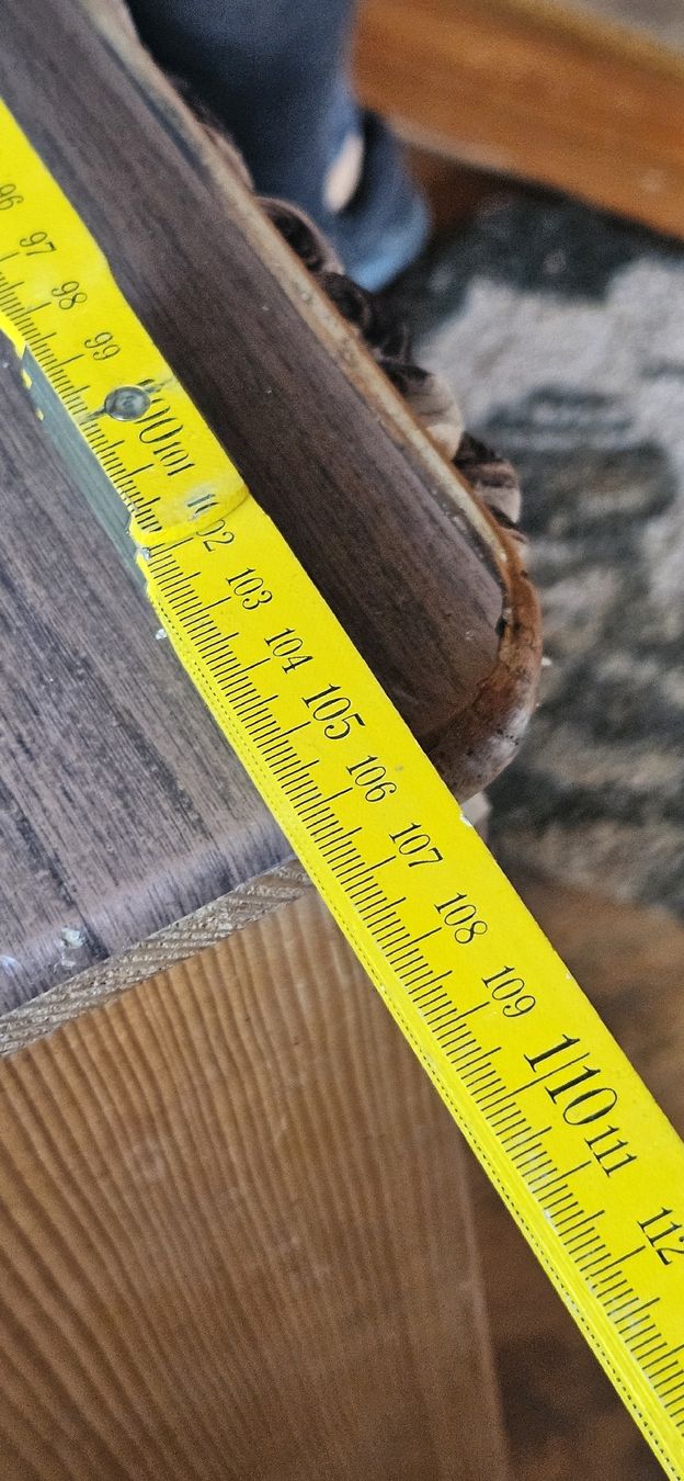 Scaffali: Altes Holzregal  – Usato da Belp venduto da Ginus85 5
