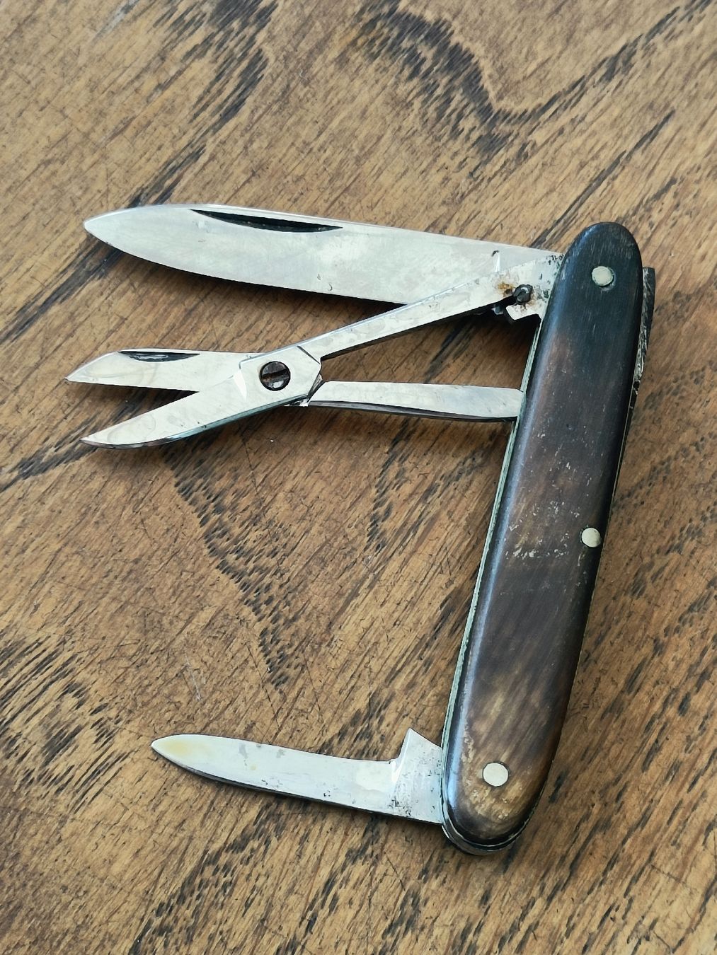 Victorinox Taschenmesser: Altes Horn Sackmesser  – Gebraucht aus Brugg AG von Ente015 5