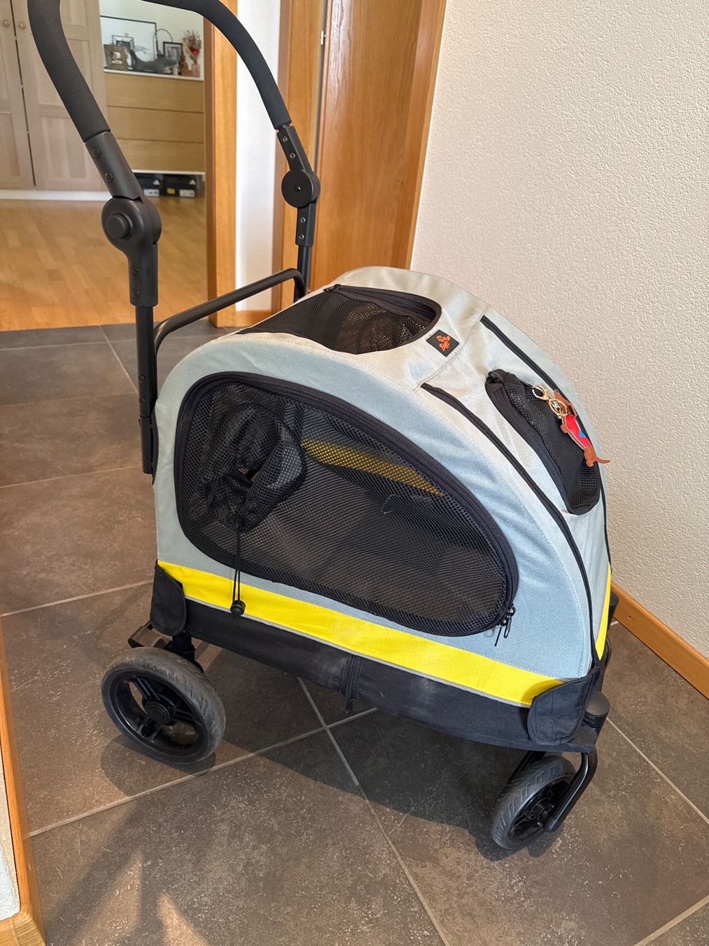 Carrozzine: Buggy / poussette pour chien – Usato da Bramois venduto da rig_8pq7 1