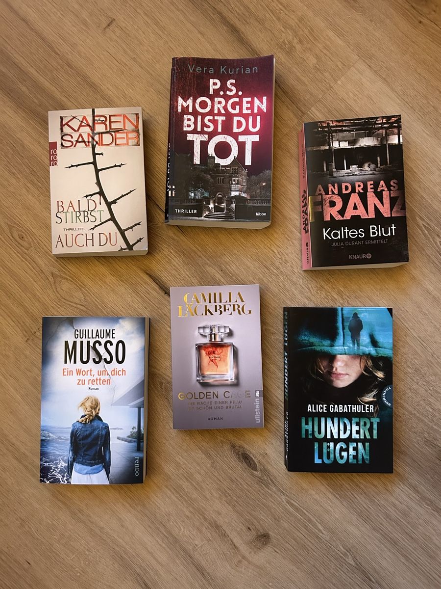 Libri: 6 Krimis/Thriller – Usato da Meiringen venduto da cor_lz6y