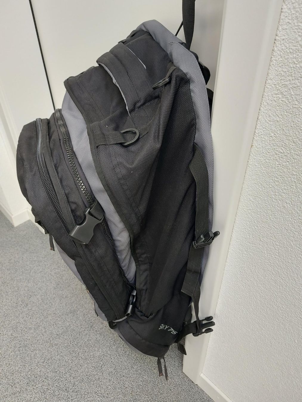 Zaini: Reise- / Tramperrucksack – Usato da Rain venduto da Europool 1