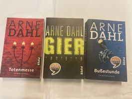 Arne Dahl Krimi-Set "Totenmesse, Gier, Busestunde" Top Zusta