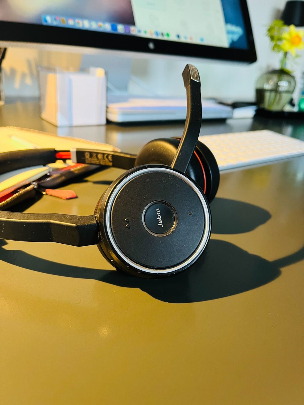Jabra Kopfhörer: Jabra Evolve Headset - Top Zustand! – Gebraucht aus Luzern von hildesandra 1