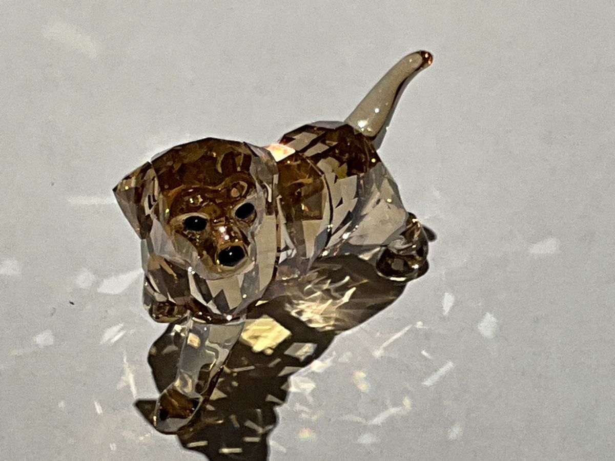 Swarovski Figuren: Swarovski Goldene Retriever  – Neu (gemäss Beschreibung) aus Oberglatt ZH von Multimix 1