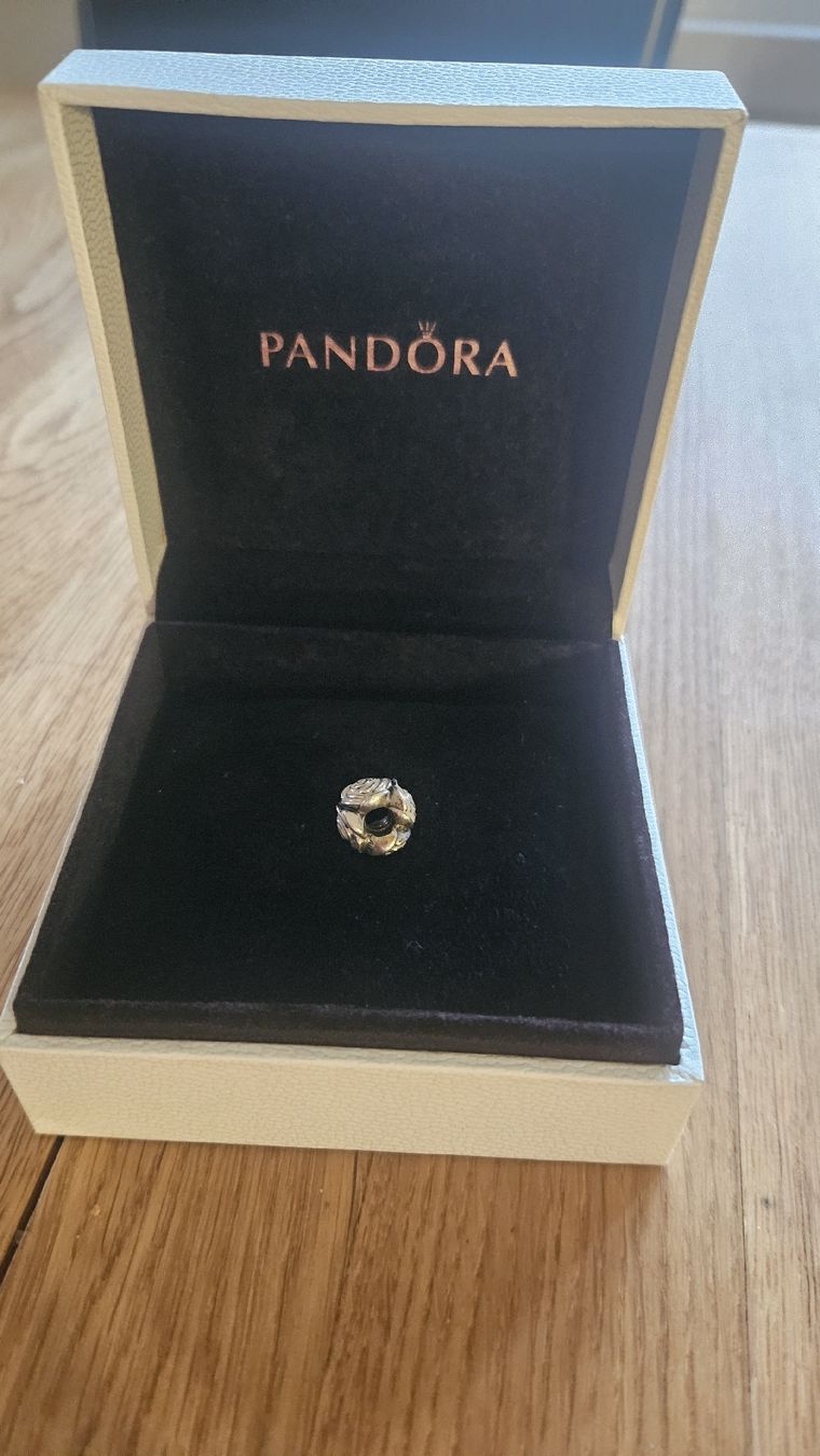 Pandora Anhänger: Pandora Rose Charm – Gebraucht aus Bern von chiaramerchi