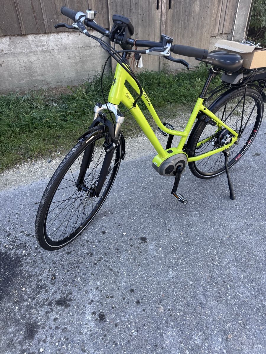 Cresta Biciclette: E-Bike Cresta Bosch Motor – Usato da Detligen venduto da sbk_6qj6