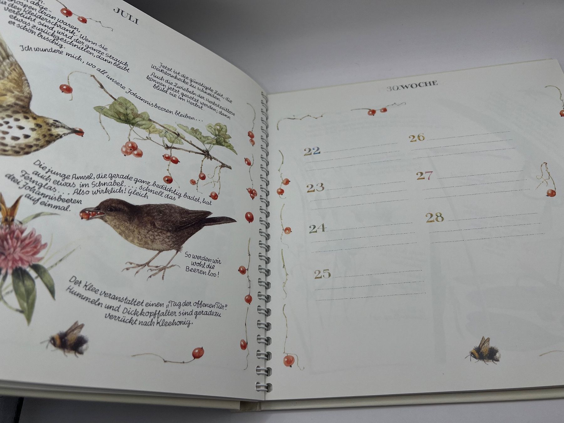 Libri: 📖 Gartentagebuch🪻 – Nuovo (secondo la descrizione) da Vaduz venduto da NotNeeded 5