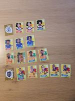 Panini world cup 2026
