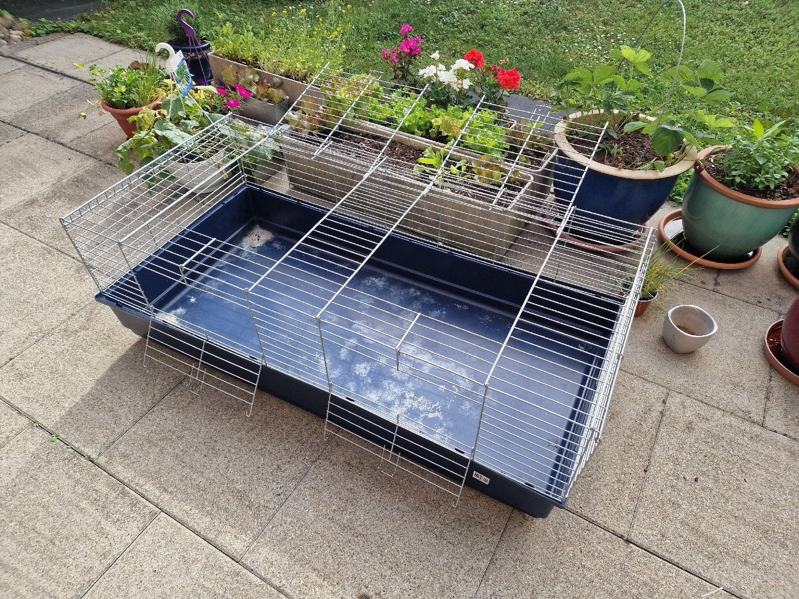 Gabbie, trasporto & Sicurezza: Rabbit cage – Usato da Zürich venduto da ziofamma 1