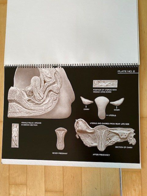 Bücher: Birth Atlas R. Dickinson – Gebraucht aus Edlibach von Arnoldotto 2