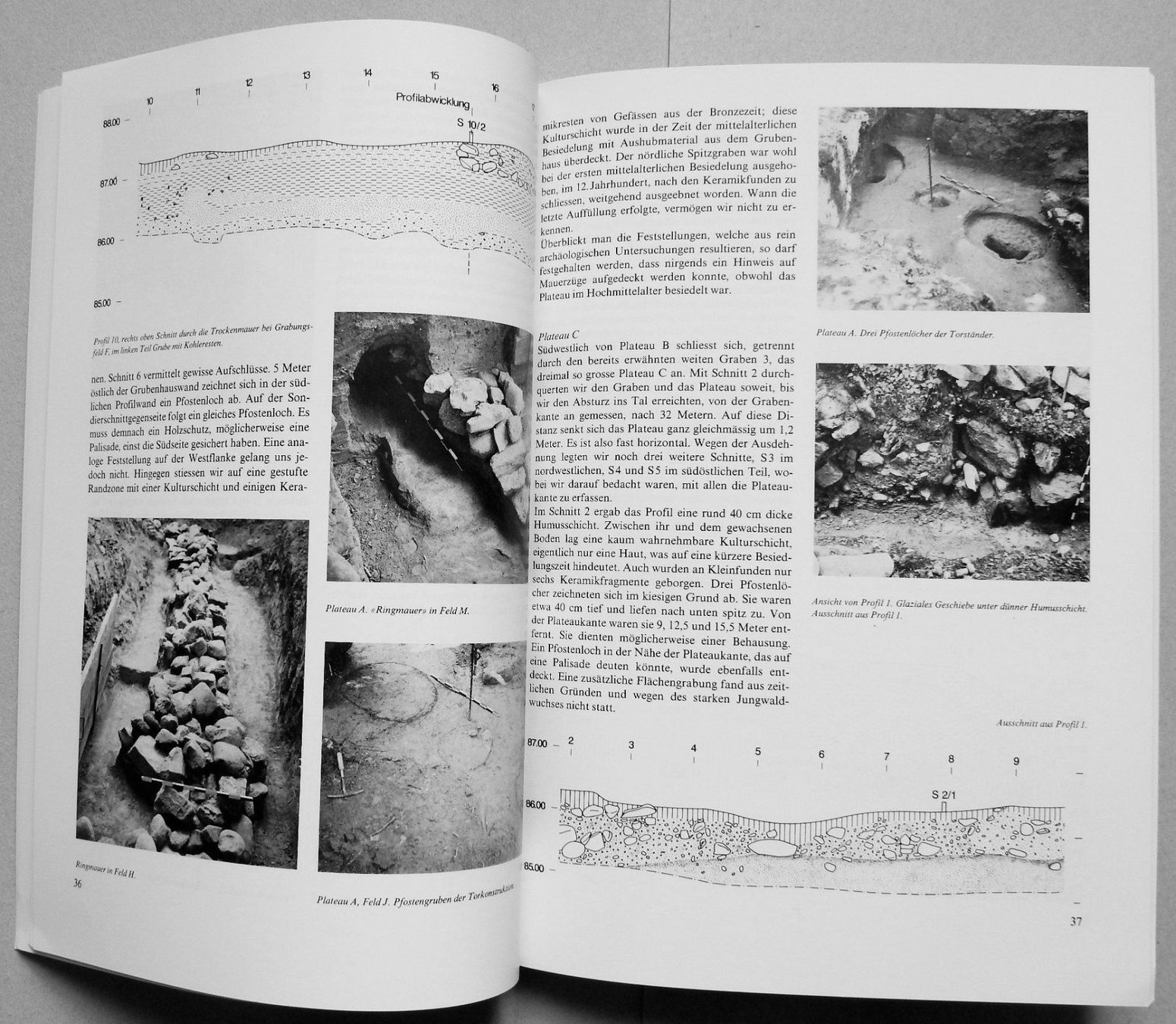 Libri: Pfostenbau und Grubenhaus – Usato da Burgdorf venduto da Joggigring 2